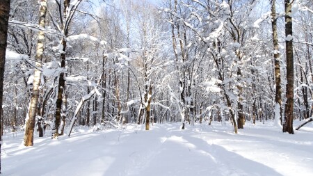 Смоленск 