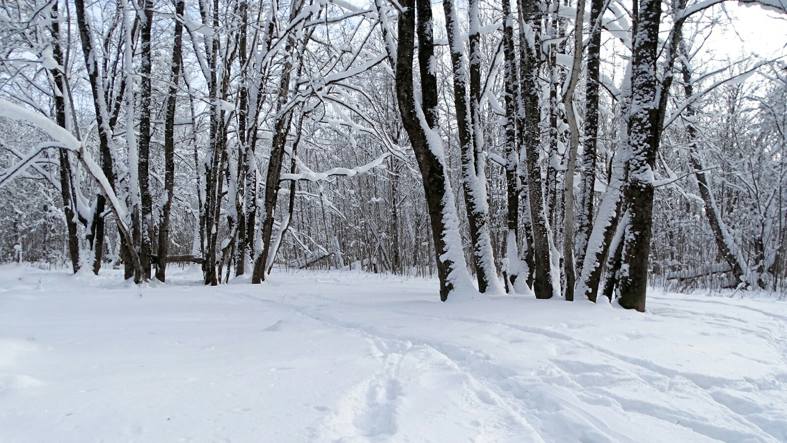 Смоленск 