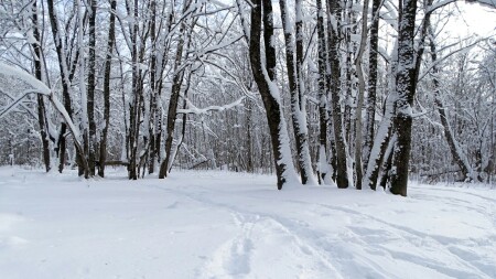 Смоленск 