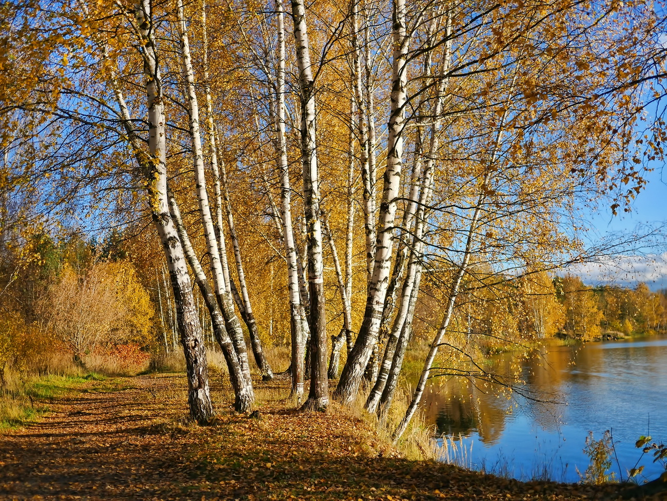 «***» раздел «Природный пейзаж». «»