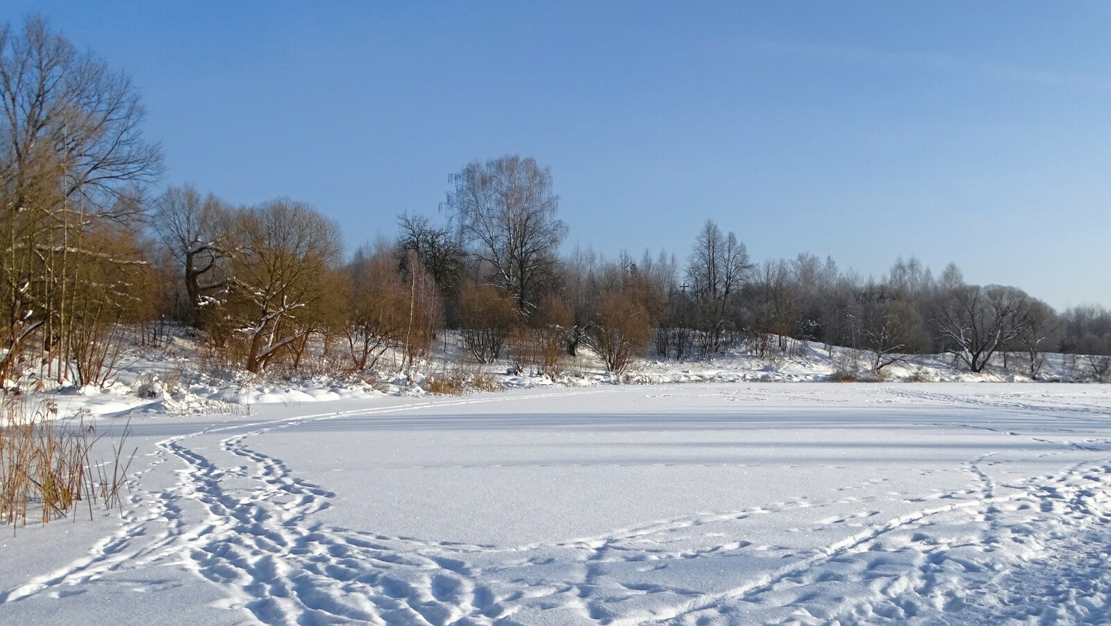Природа Смоленщины 