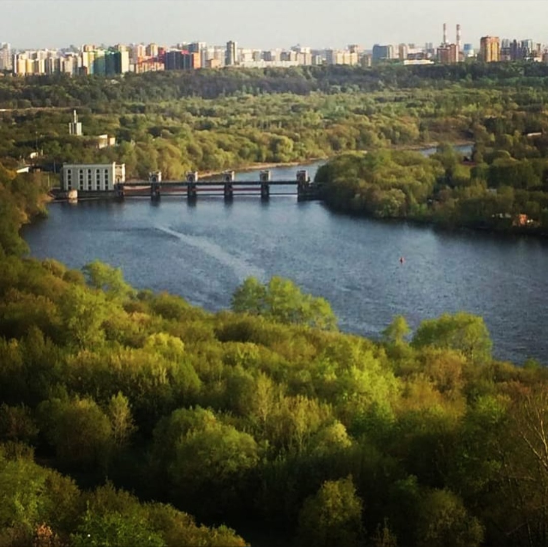 Течёт река