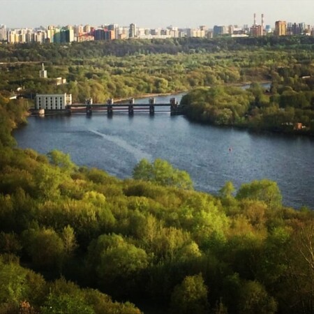 Течёт река