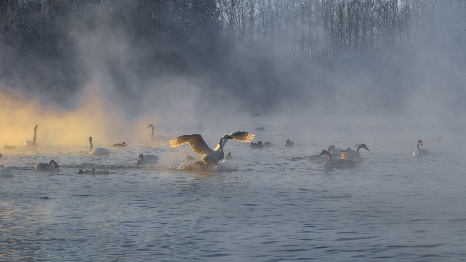 Морозно...На закате