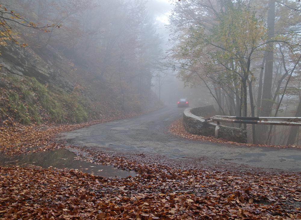 Осенняя