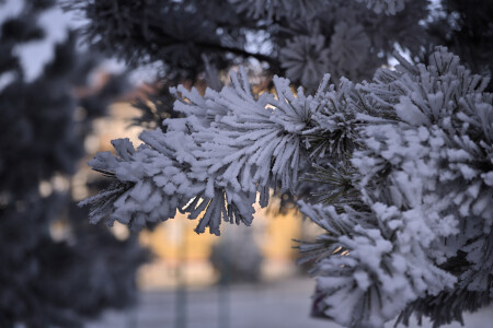 ***
