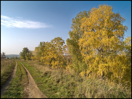 Осенняя зарисовка