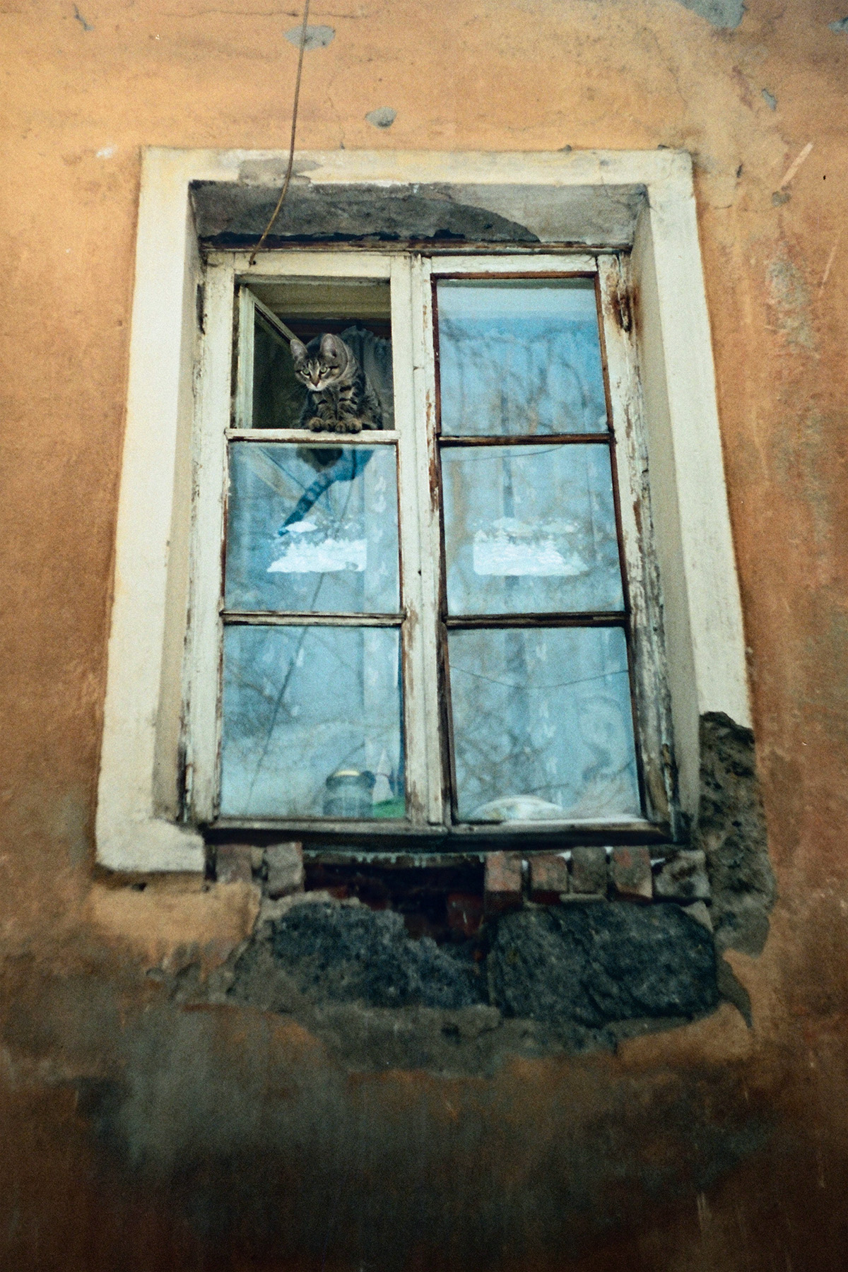 «Search processing...» раздел «Жанр, Городской пейзаж, Домашние животные». «Zenit ET / Kodak Vision 3 250D / January 2026»