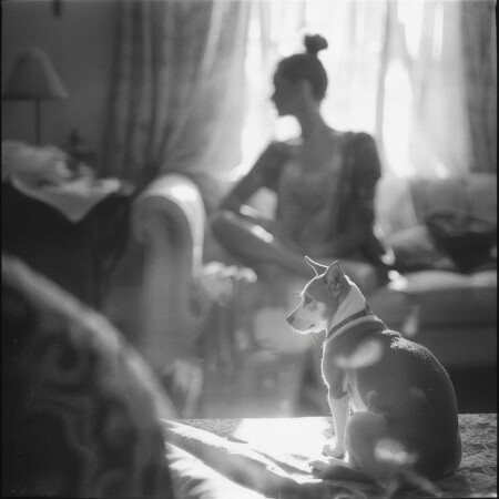 . homeliness