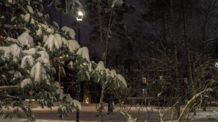 Зимний Вечер в Парке