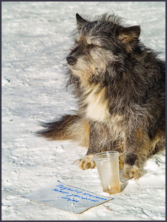 Нищий