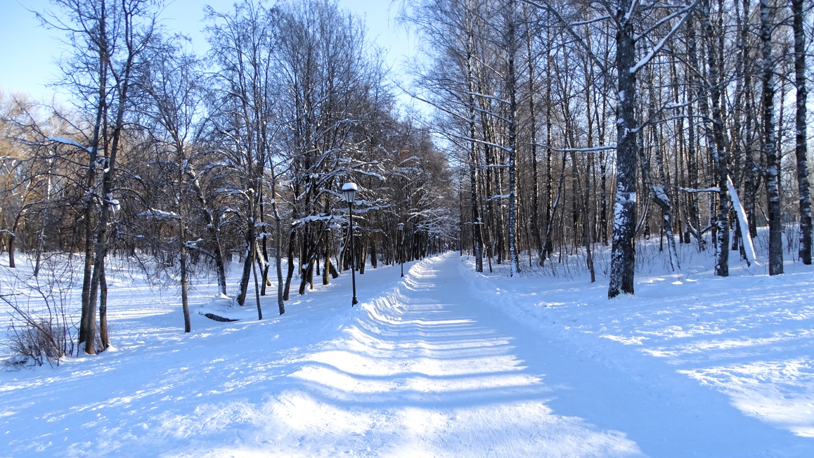 Смоленск 