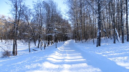 Смоленск 