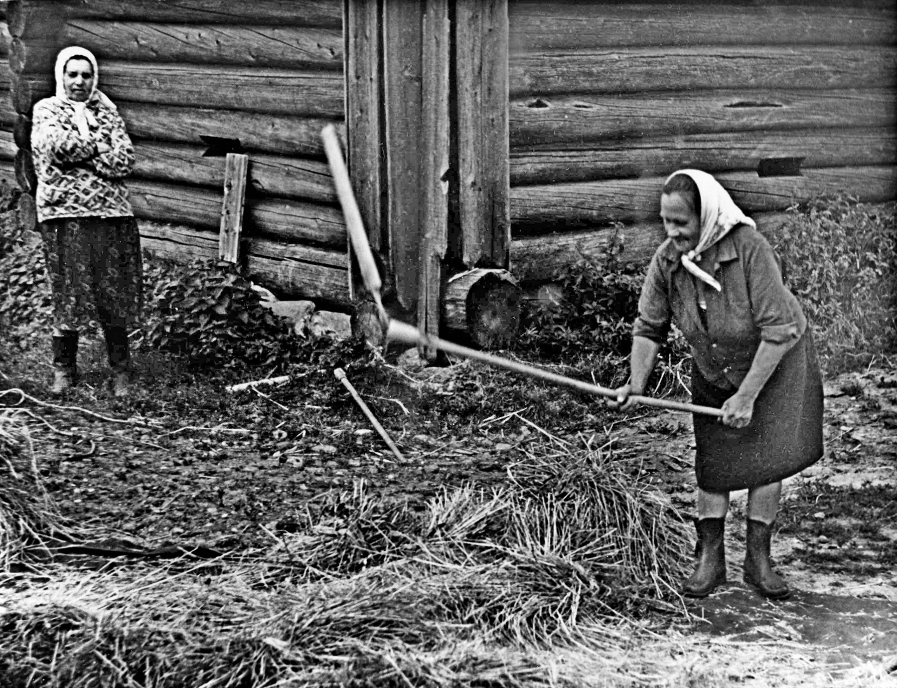 Древнее искусство - ручной обмолот зерна