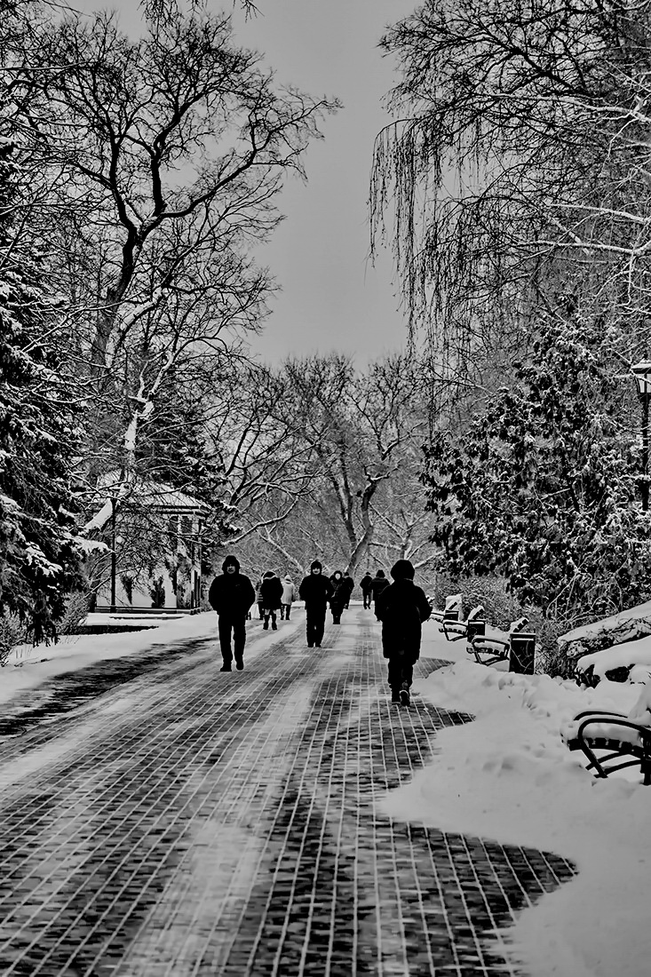 Прогулка.