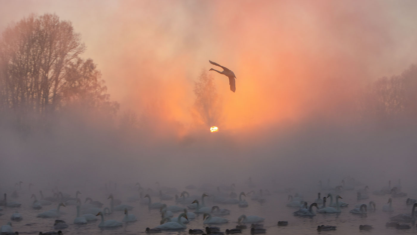 На закате...Морозно