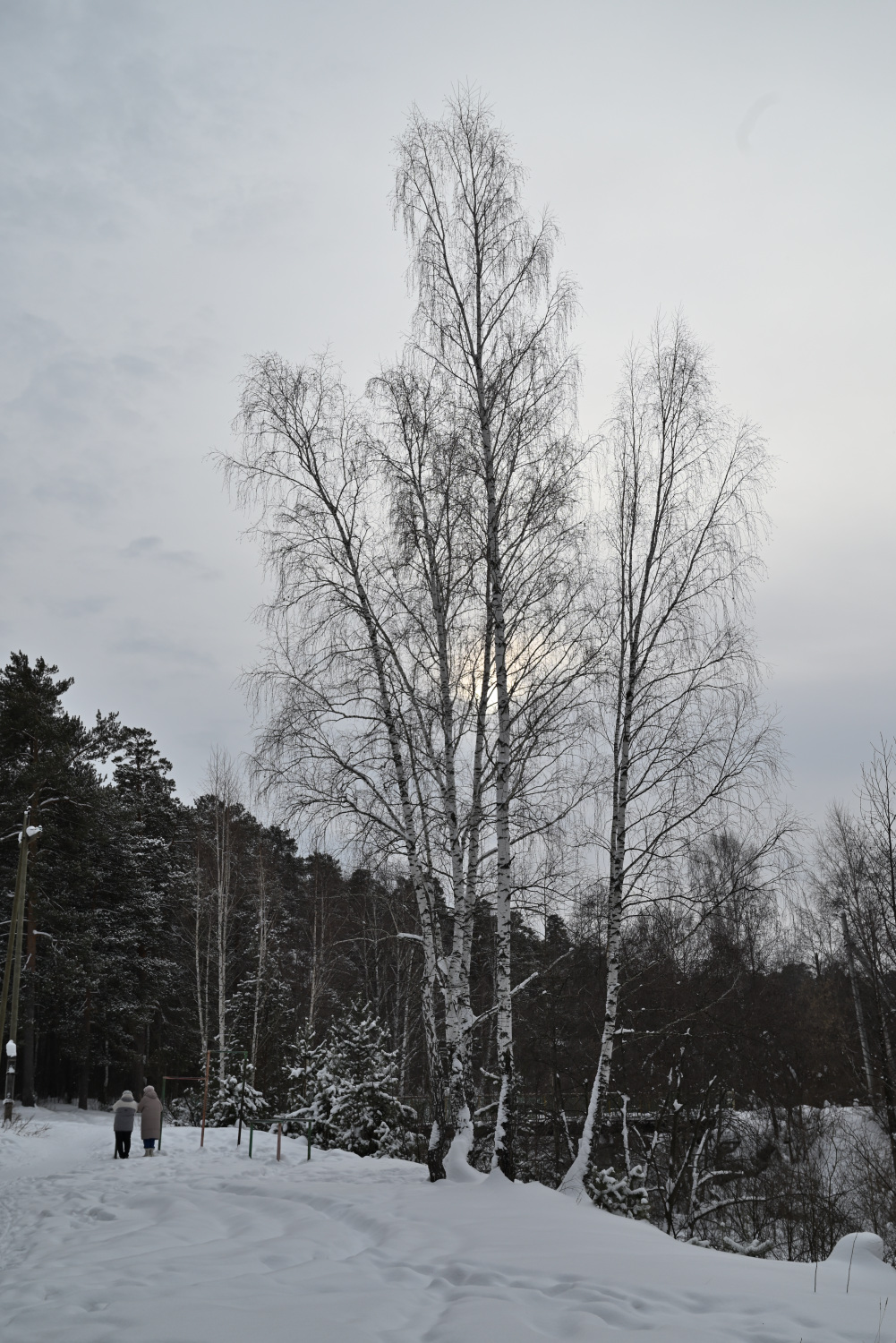 прогулка