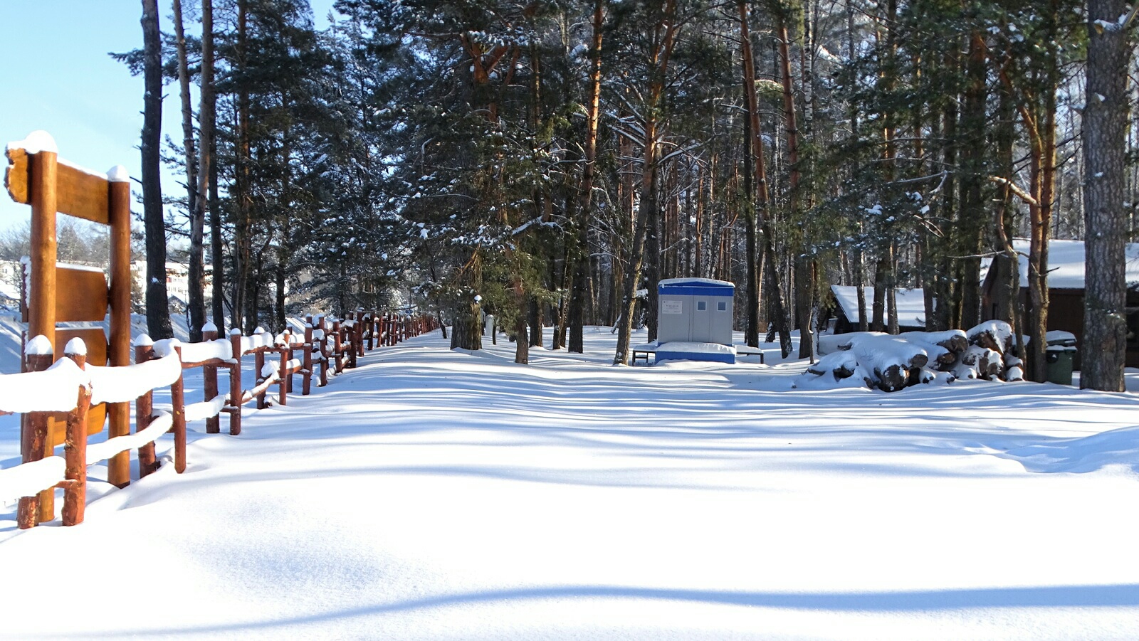 «Природа Смоленщины» раздел «Разное». «Смоленск, Гнёздовский археологический комплекс, 03.02.2026»