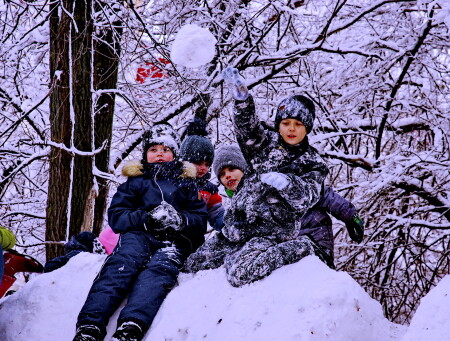 Зима в радость.
