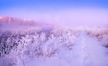 Морозное утро