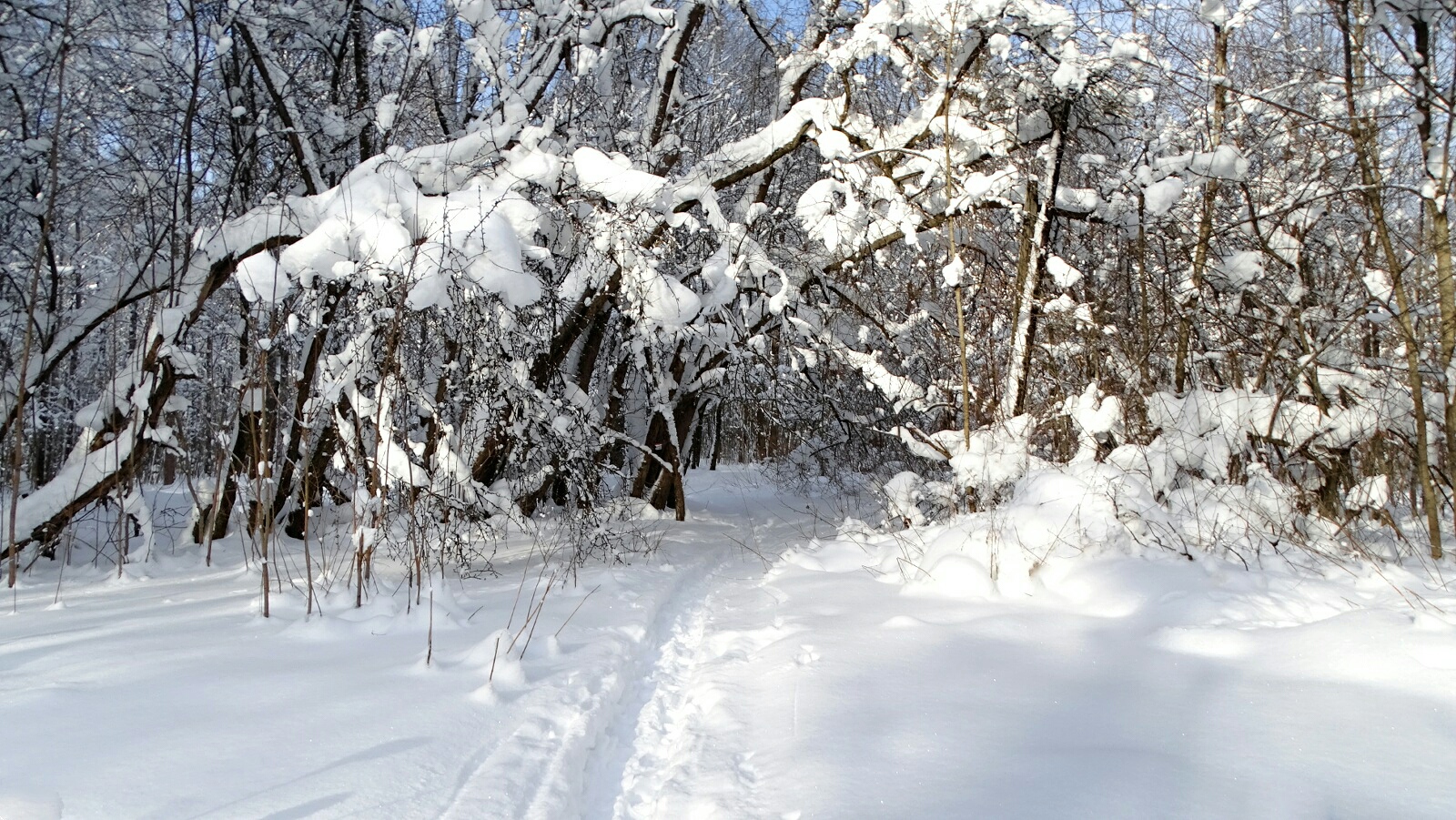 Смоленск 