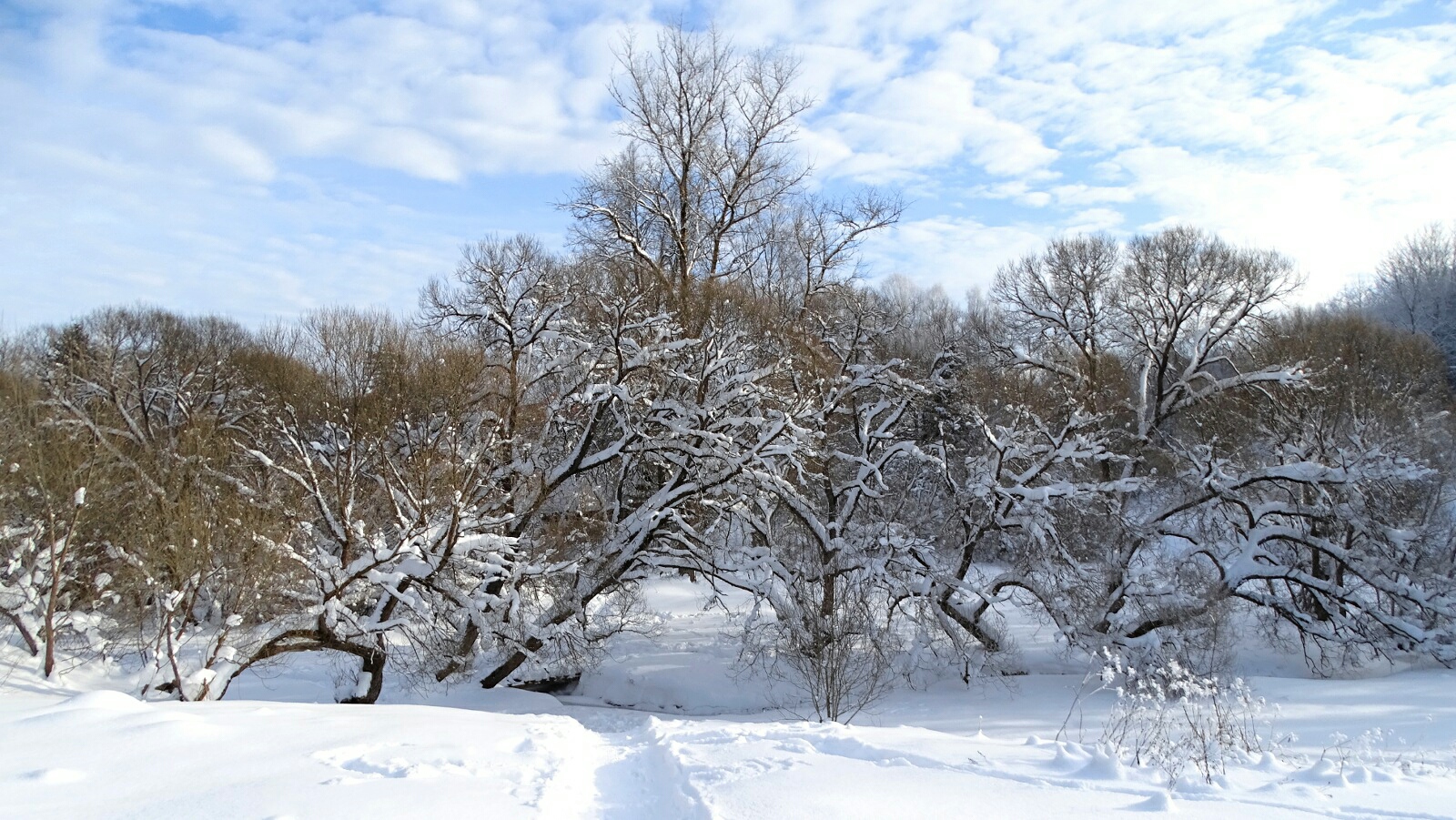 Природа Смоленщины 