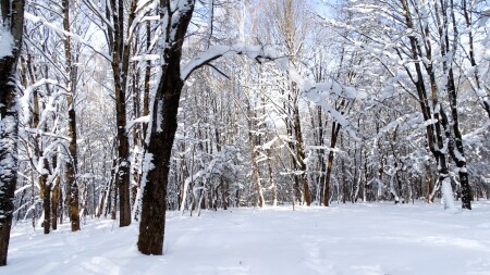 Смоленск 