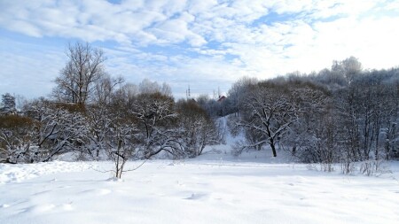 Смоленск 