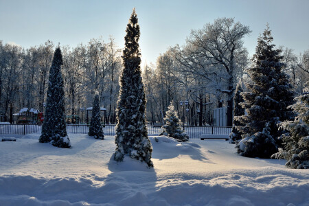 В городском парке