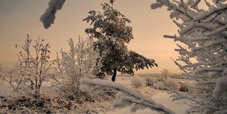 Зимняя зарисовка