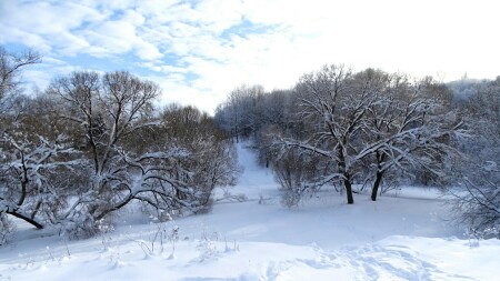 Смоленск 