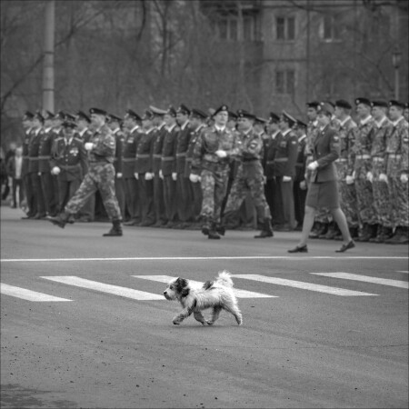  ШАГ ВПЕРЁД