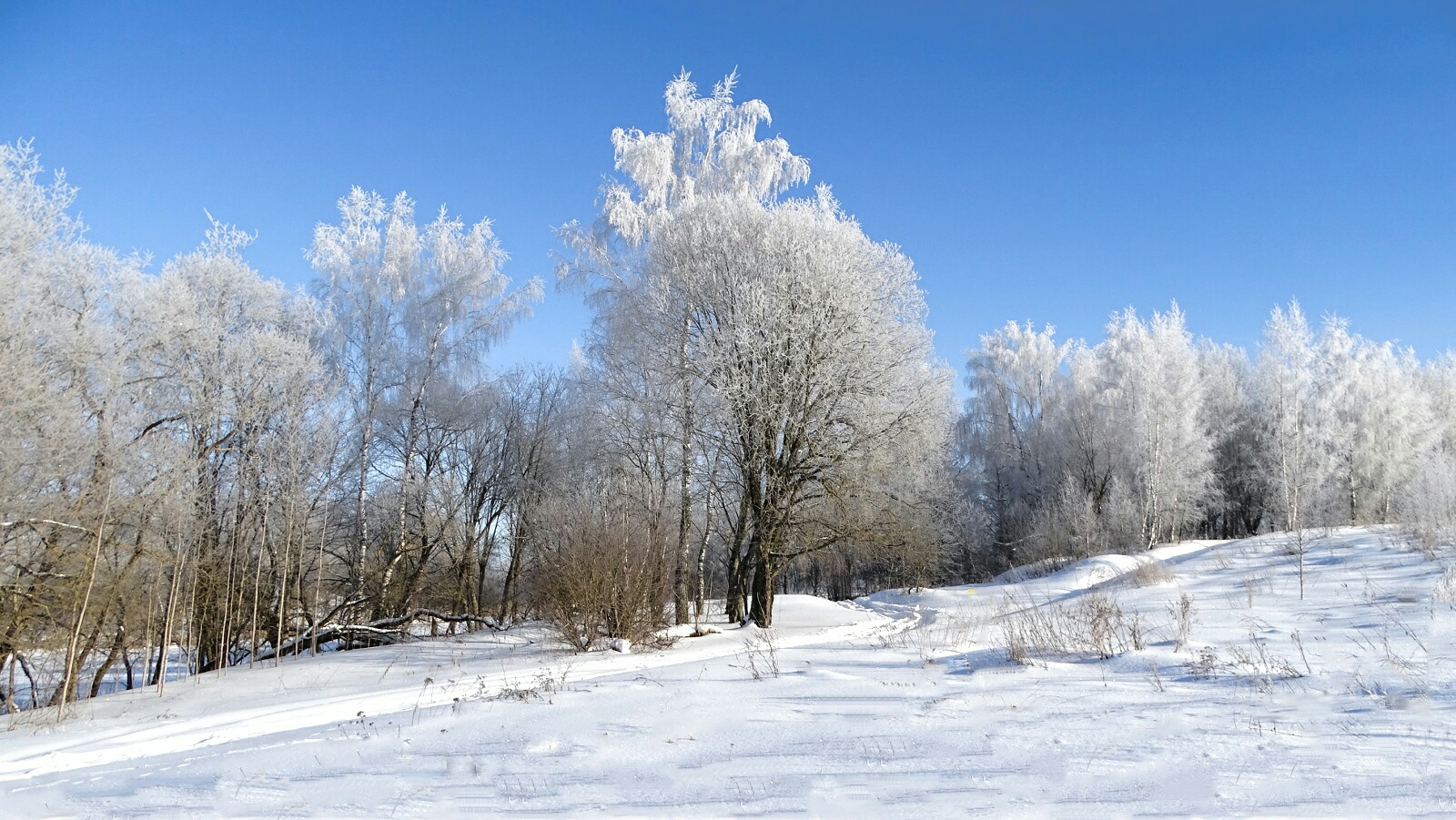 Природа Смоленщины 