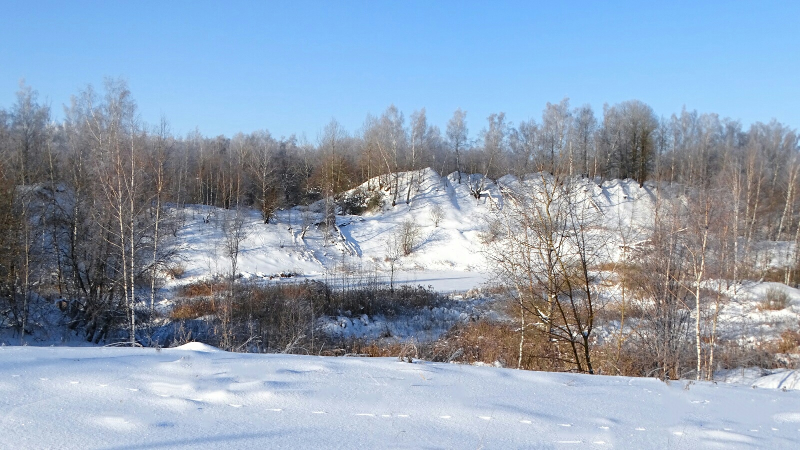 Природа Смоленщины 