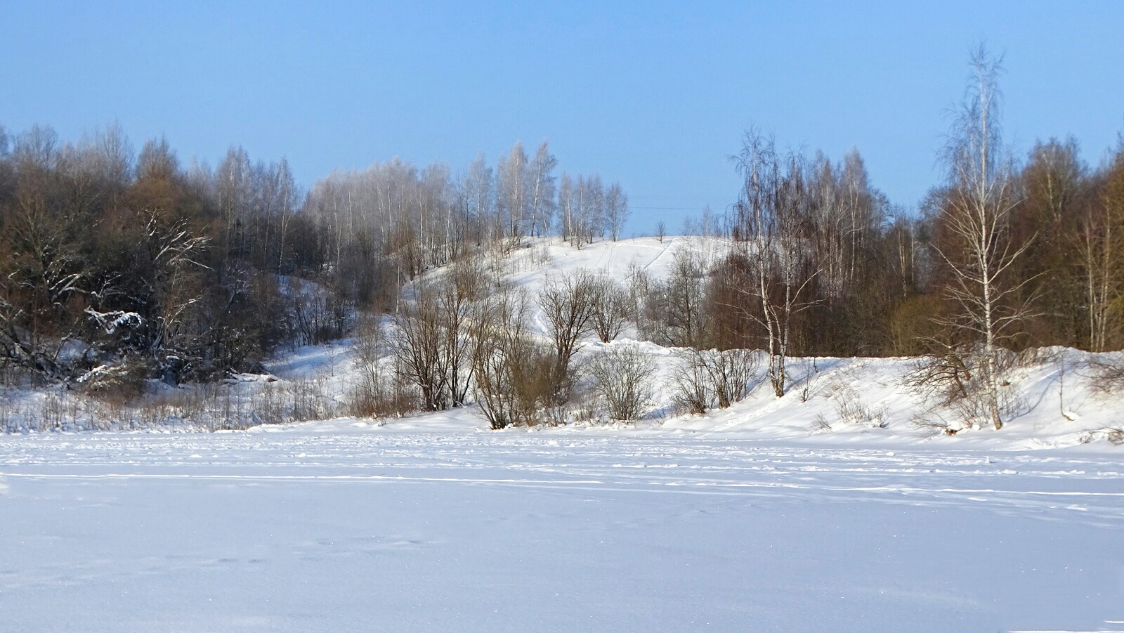 Природа Смоленщины 