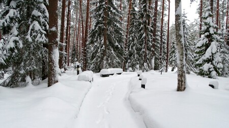 Смоленск 