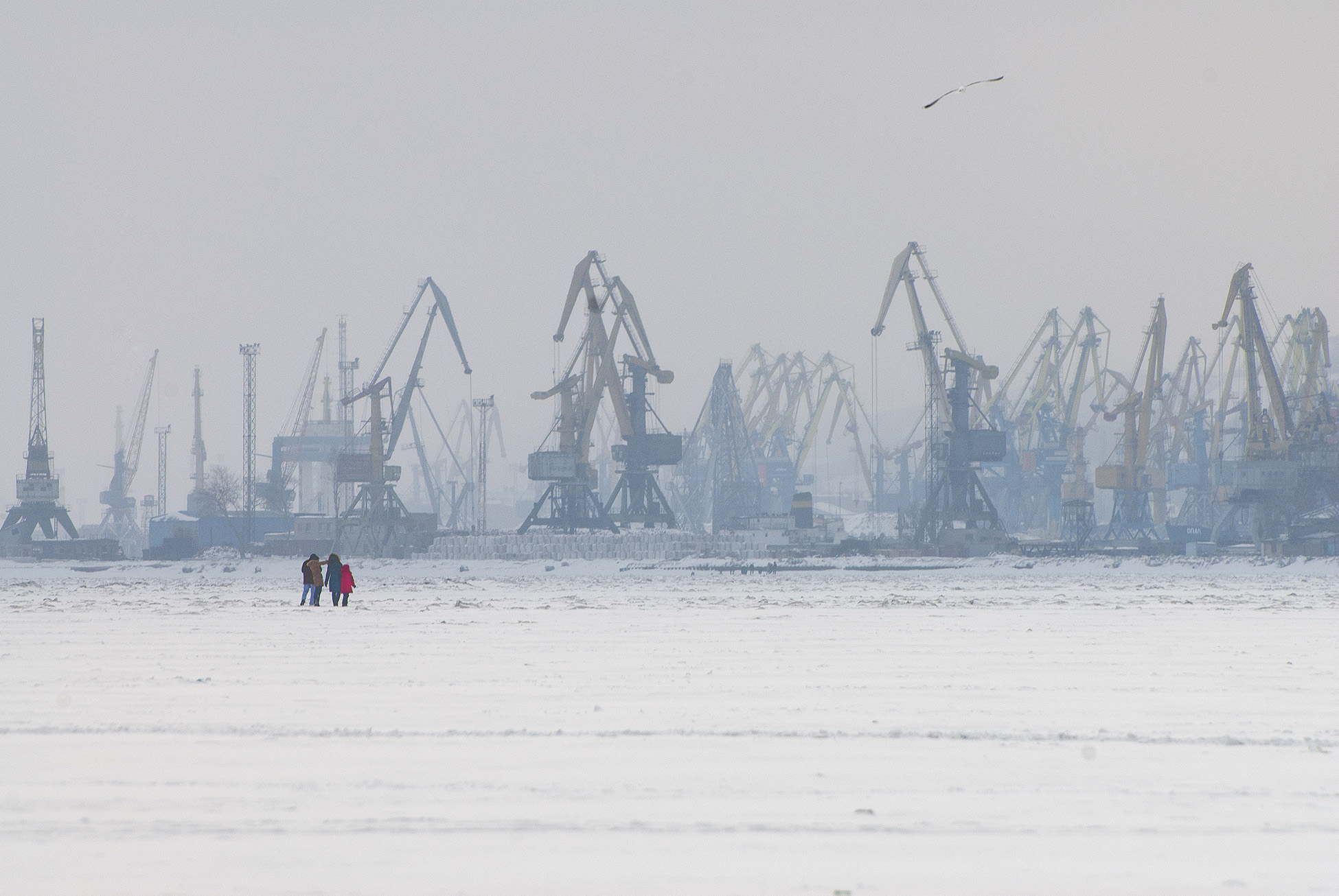 Море замерзло