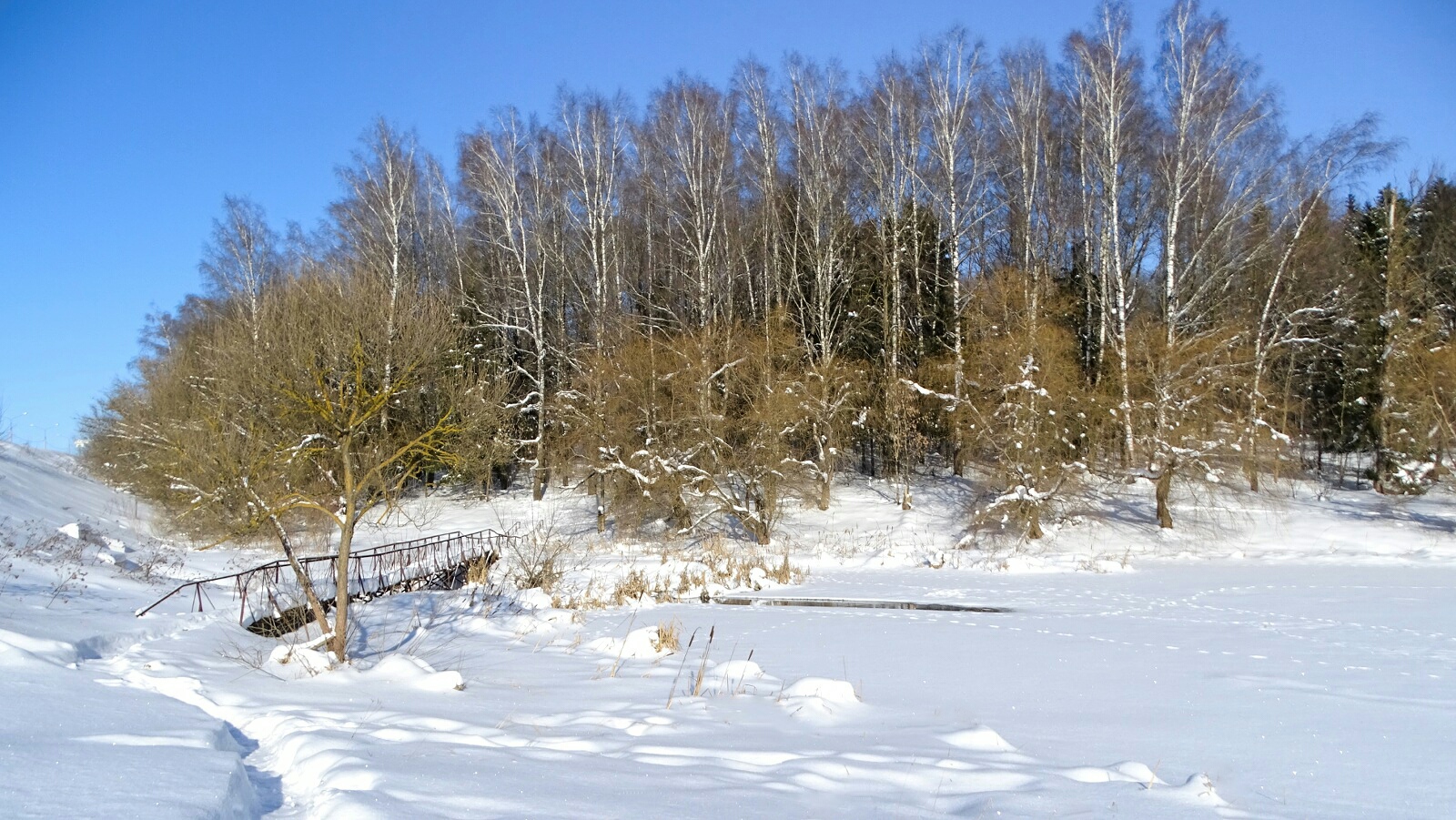 Природа Смоленщины 