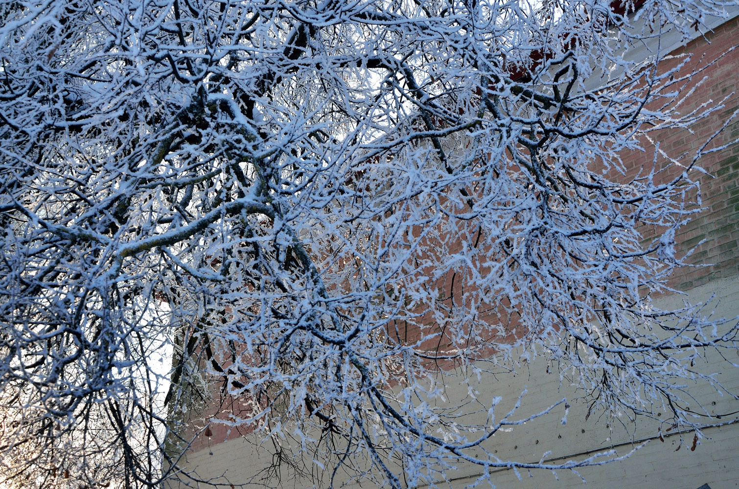 «***» раздел «Разное». «»