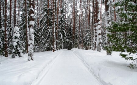 Природа Смоленщины 