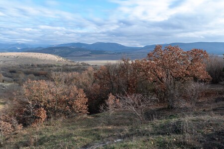 Вид на гору Гасфорта. Крым. Балаклавский р-н.