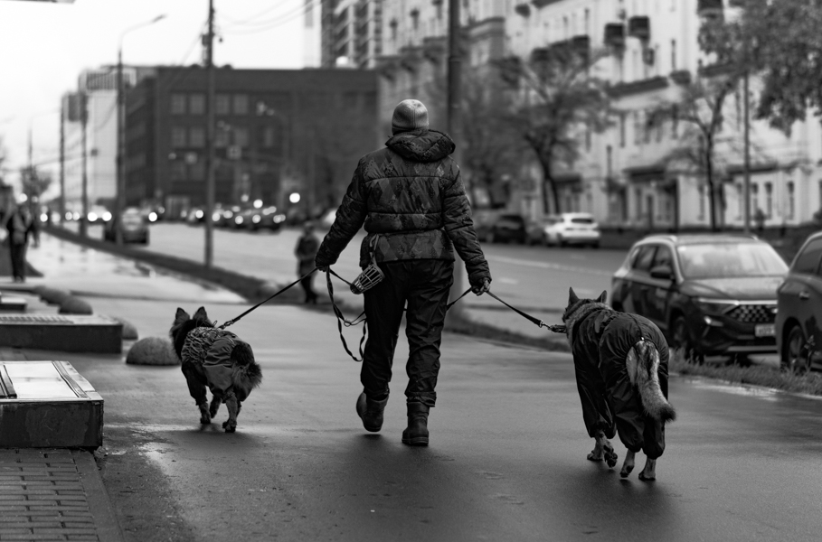 «прогулка...» раздел «Жанр». «»