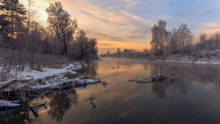 Клязьма незамерзающая