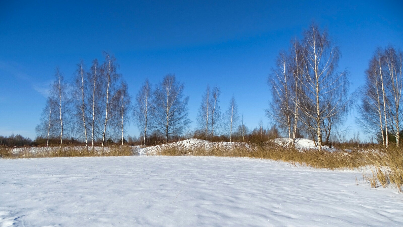 Природа Смоленщины 