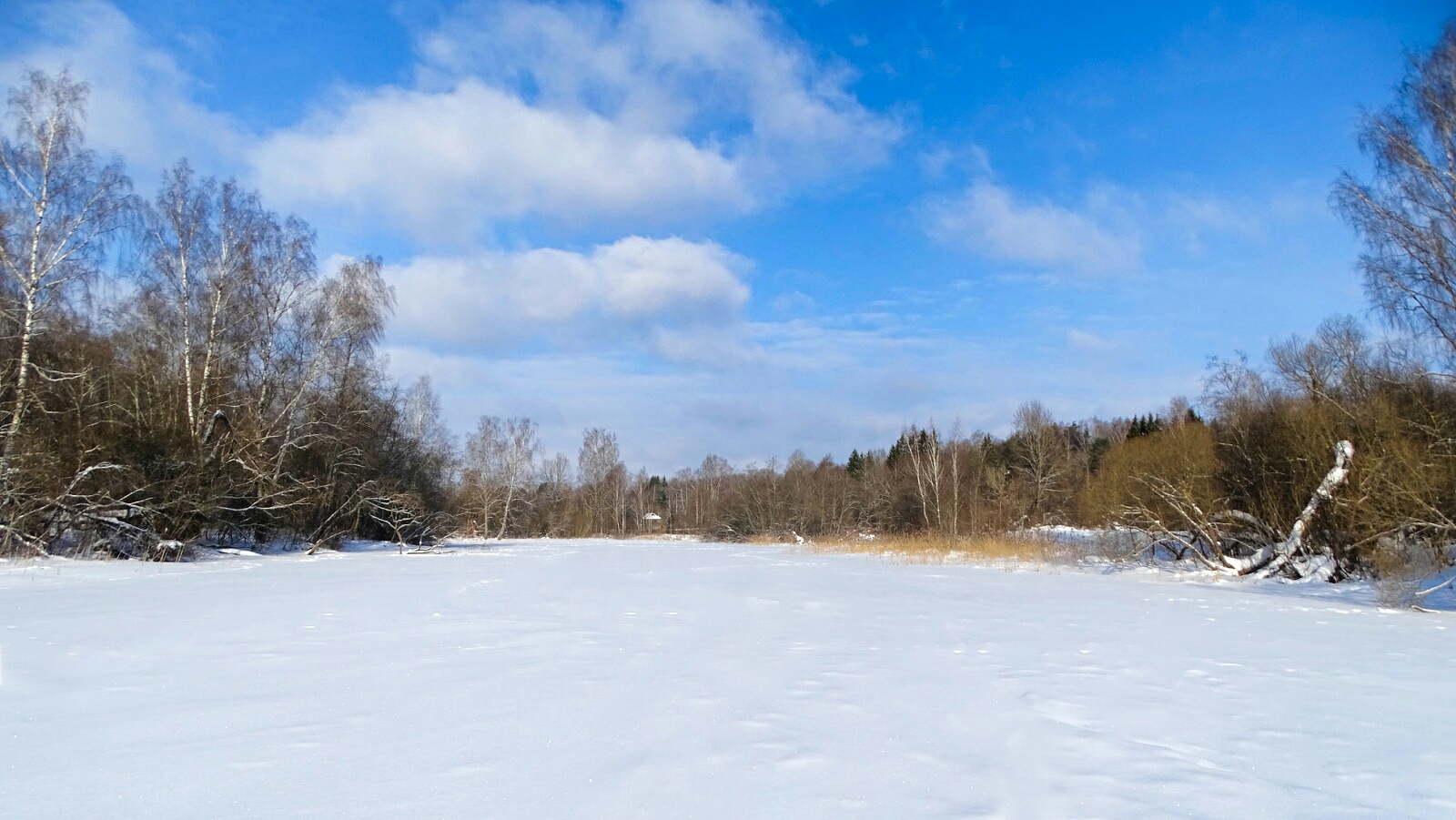 Природа Смоленщины 