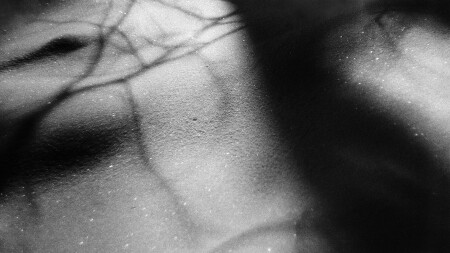 Gliding shadows