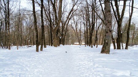 Смоленск 