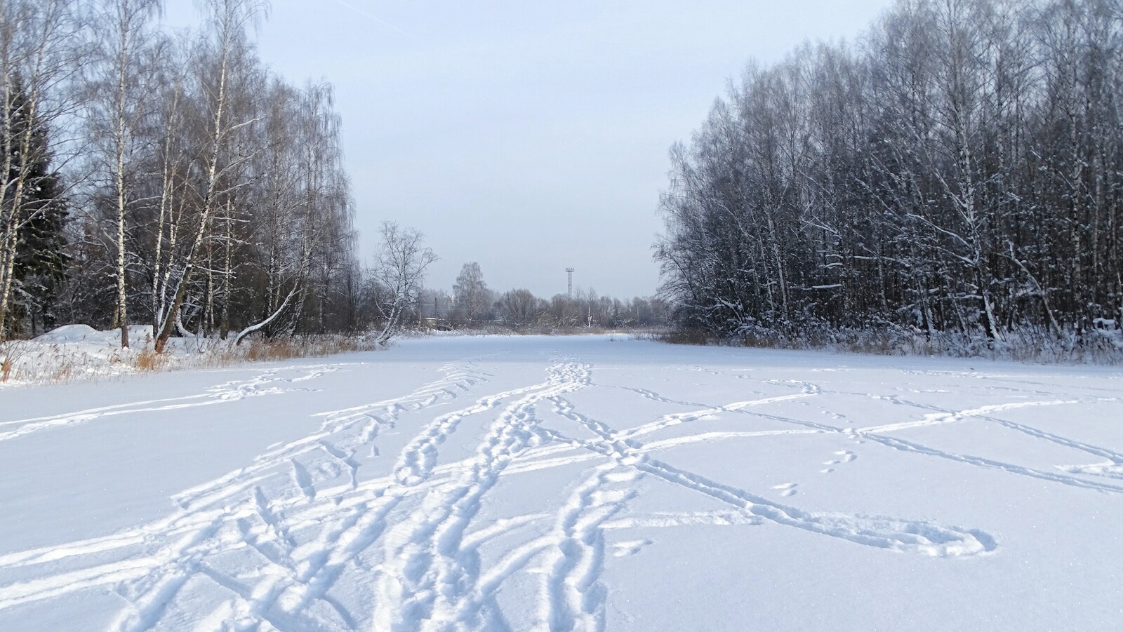 «Природа Смоленщины» раздел «Природный пейзаж». «Смоленская область, Красный бор, февраль 2026»