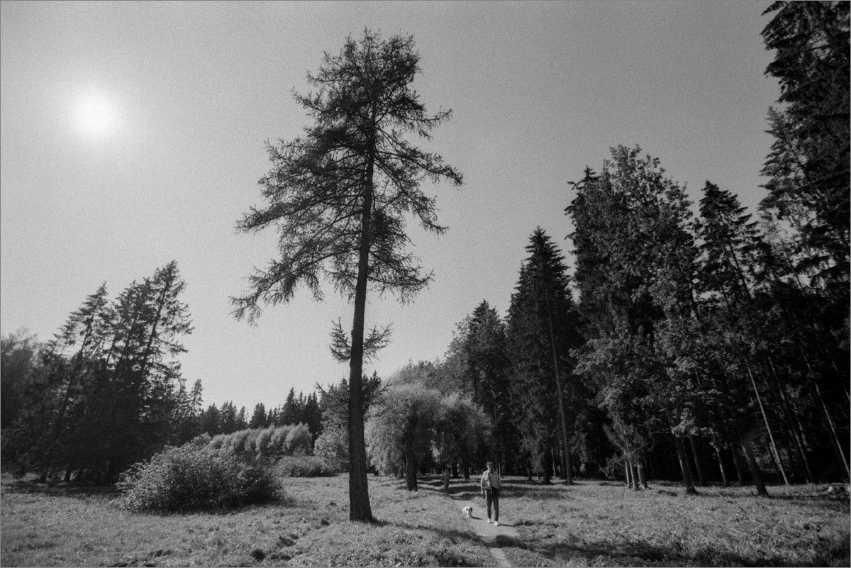 «***» раздел «Природный пейзаж». «Canon EOS 1 + Canon EF 16-35mm/2.8 II L USM + Fomapan 200. 2025г.»