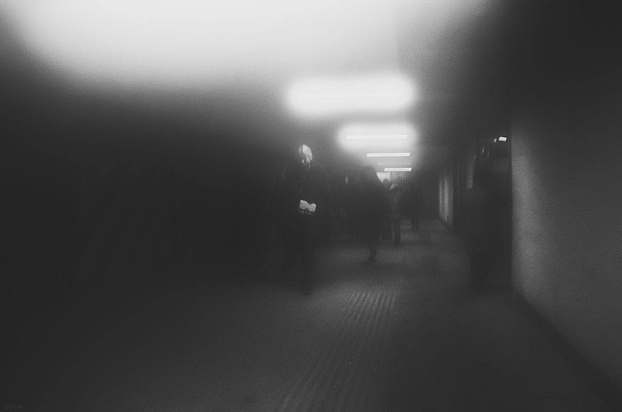 «***» раздел «Жанр». «»
